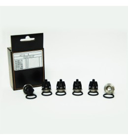KIT 1 VALVULAS INTERPUMP